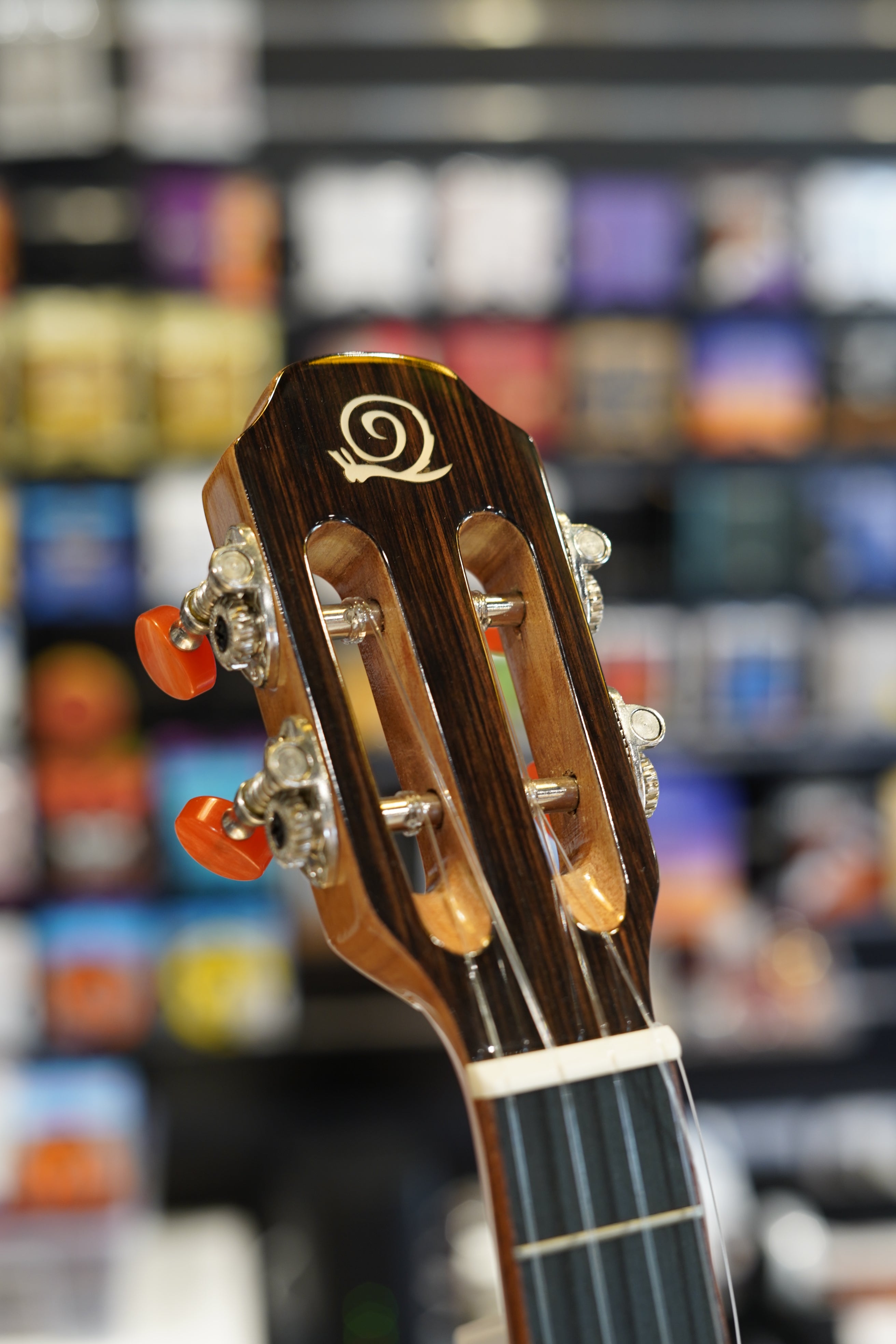 Snail Tenor N1 "Little Bee" Custom Solid Acacia Ukulele with Pickup